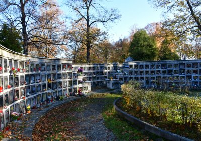 Žatec městský, Omnium, 2020