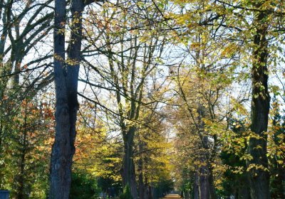 Žatec městský, Omnium, 2020