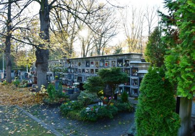 Žatec městský, Omnium, 2020