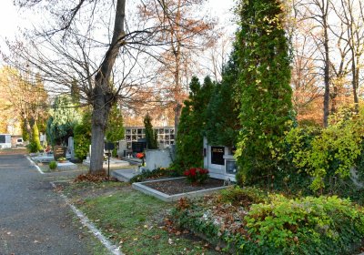 Žatec městský, Omnium, 2020