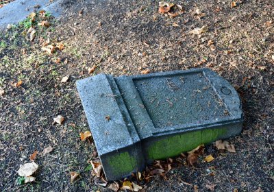 Žatec městský, Omnium, 2020