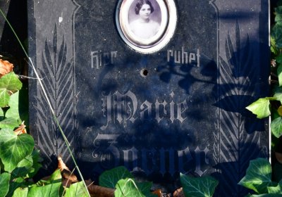 Žatec městský, Omnium, 2020