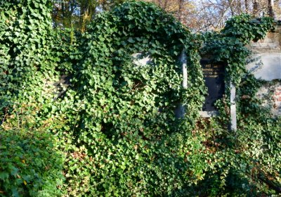 Žatec městský, Omnium, 2020