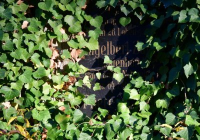 Žatec městský, Omnium, 2020