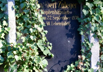 Žatec městský, Omnium, 2020