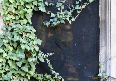 Žatec městský, Omnium, 2020