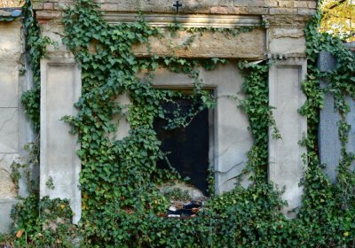 Žatec městský, Omnium, 2020