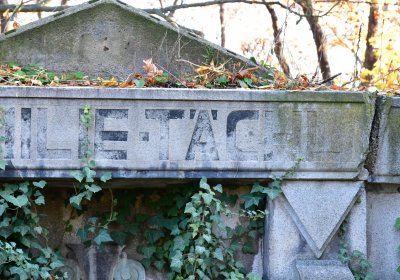 Žatec městský, Omnium, 2020