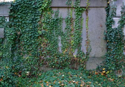 Žatec městský, Omnium, 2020