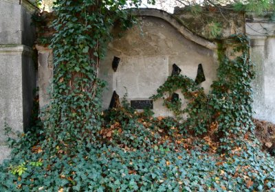 Žatec městský, Omnium, 2020