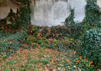 Žatec městský, Omnium, 2020