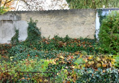 Žatec městský, Omnium, 2020