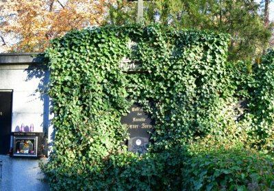 Žatec městský, Omnium, 2020