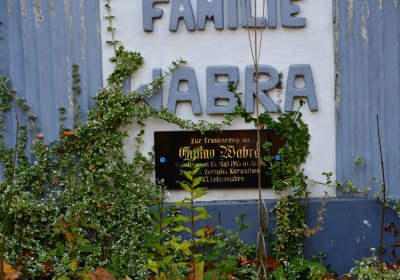 Žatec městský, Omnium, 2020