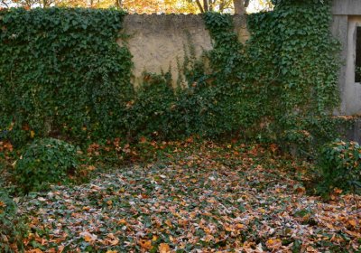 Žatec městský, Omnium, 2020