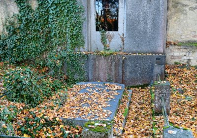 Žatec městský, Omnium, 2020