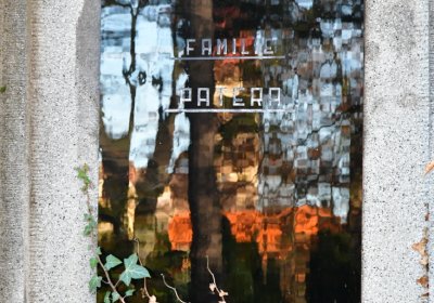 Žatec městský, Omnium, 2020