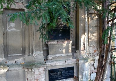 Žatec městský, Omnium, 2020