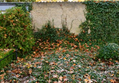 Žatec městský, Omnium, 2020