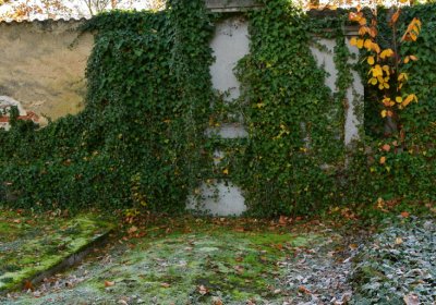 Žatec městský, Omnium, 2020