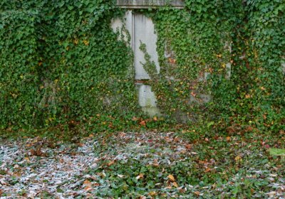 Žatec městský, Omnium, 2020