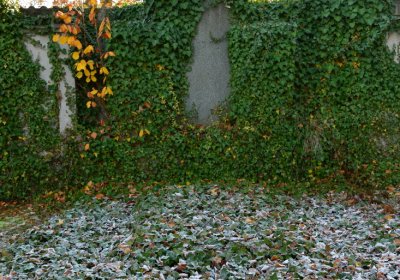 Žatec městský, Omnium, 2020