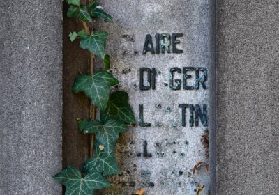 Žatec městský, Omnium, 2020