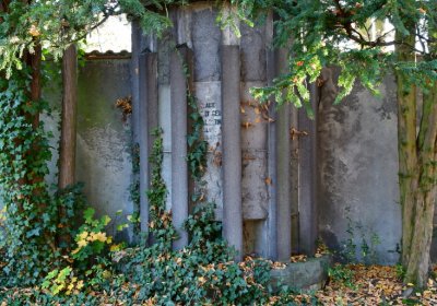 Žatec městský, Omnium, 2020