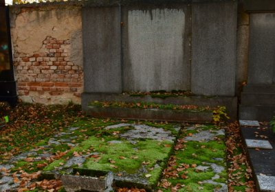 Žatec městský, Omnium, 2020