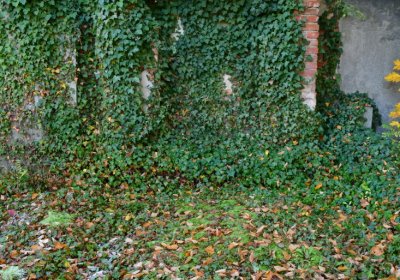 Žatec městský, Omnium, 2020