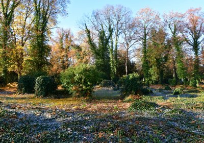 Žatec městský, Omnium, 2020