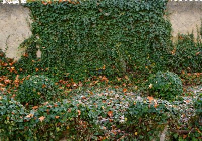 Žatec městský, Omnium, 2020