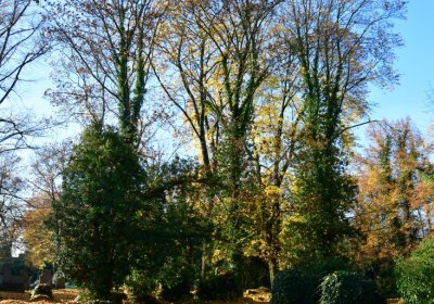 Žatec městský, Omnium, 2020