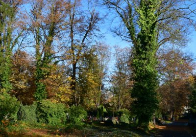 Žatec městský, Omnium, 2020