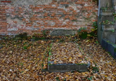 Žatec městský, Omnium, 2020