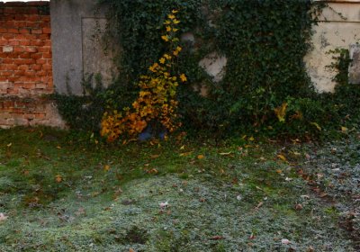 Žatec městský, Omnium, 2020