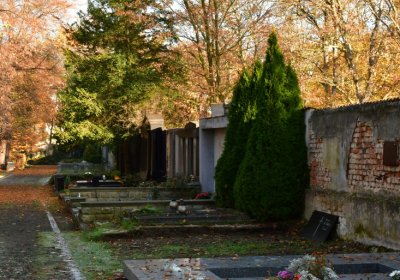 Žatec městský, Omnium, 2020