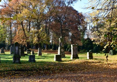 Žatec městský, Omnium, 2020