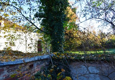 Žatec městský, Omnium, 2020