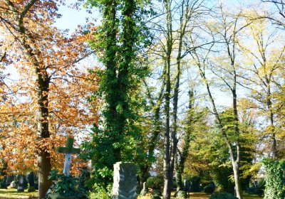 Žatec městský, Omnium, 2020