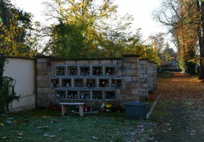 Žatec městský, Omnium, 2020