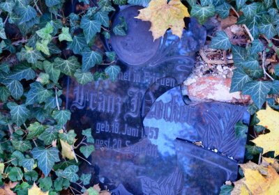 Žatec městský, Omnium, 2020