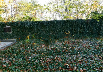 Žatec městský, Omnium, 2020