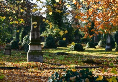 Žatec městský, Omnium, 2020