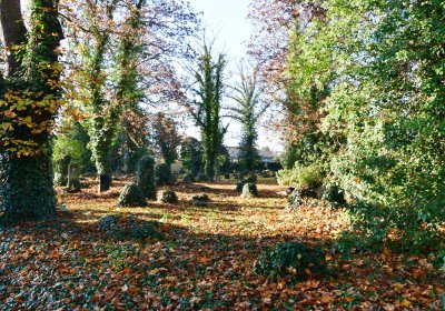 Žatec městský, Omnium, 2020