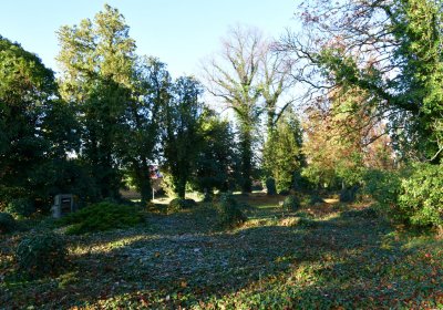 Žatec městský, Omnium, 2020