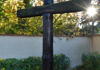 Žatec městský, Omnium, 2020