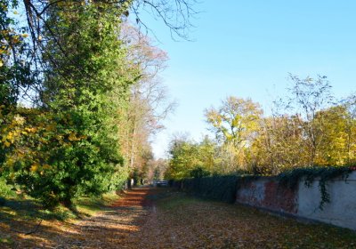 Žatec městský, Omnium, 2020