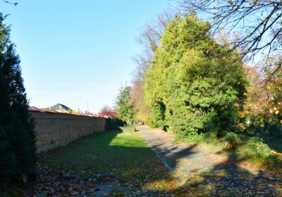 Žatec městský, Omnium, 2020