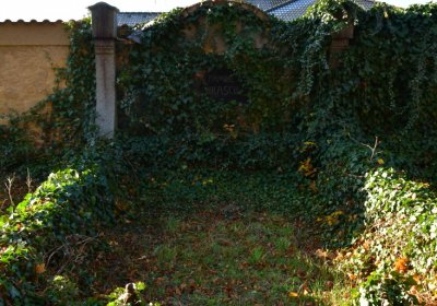 Žatec městský, Omnium, 2020